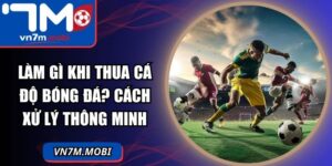 Làm Gì Khi Thua Cá Độ Bóng Đá