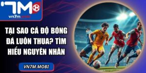 Tại Sao Cá Độ Bóng Đá Luôn Thua