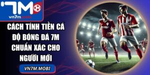 Cách Tính Tiền Cá Độ Bóng Đá